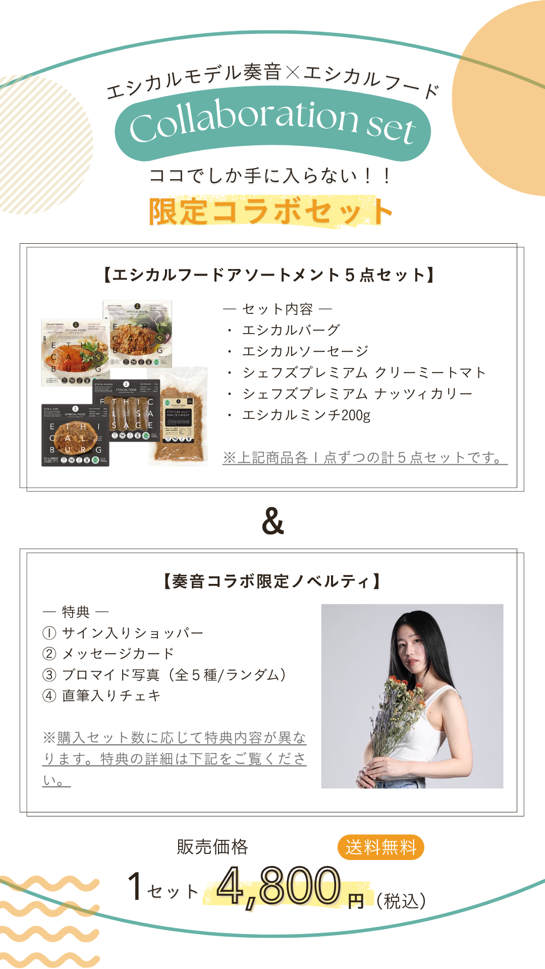 限定コラボセット